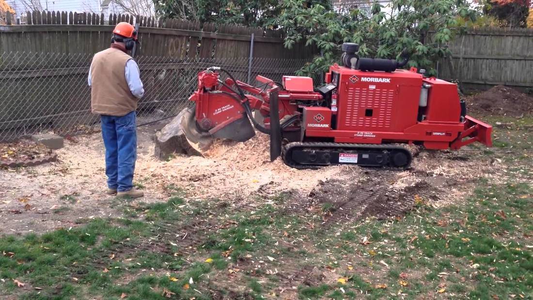 Stump Grinding Chesapeake Tree Service